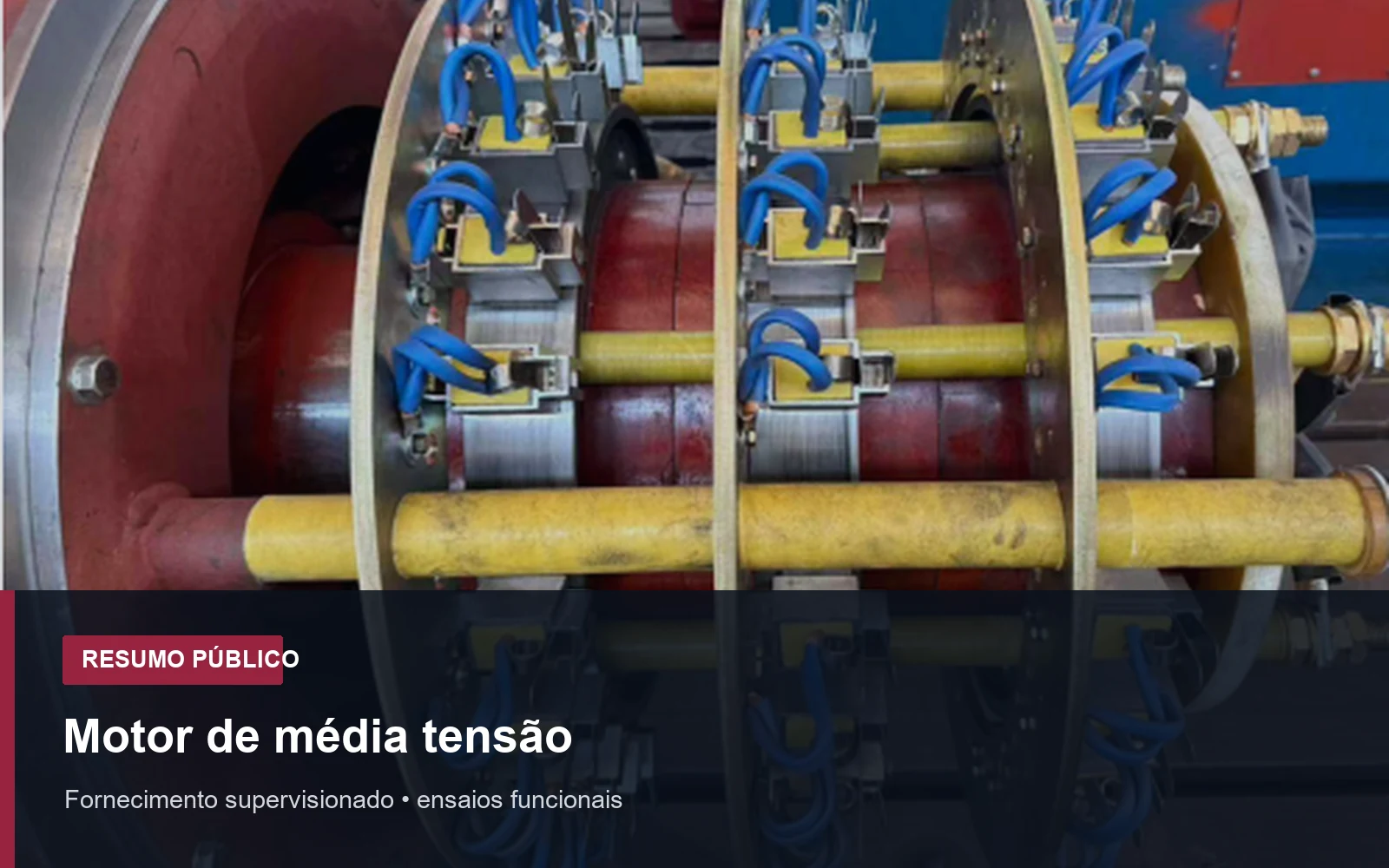 Motor de média tensão em registro público de inspeção supervisionada